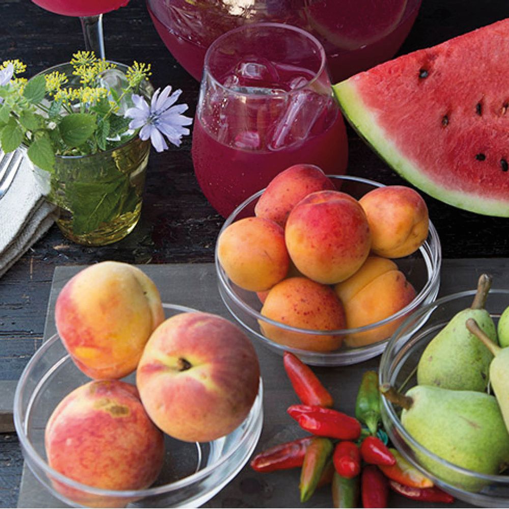 Outdoor kitchens - methacrylate tableware - FIORIRA UN GIARDINO SRL