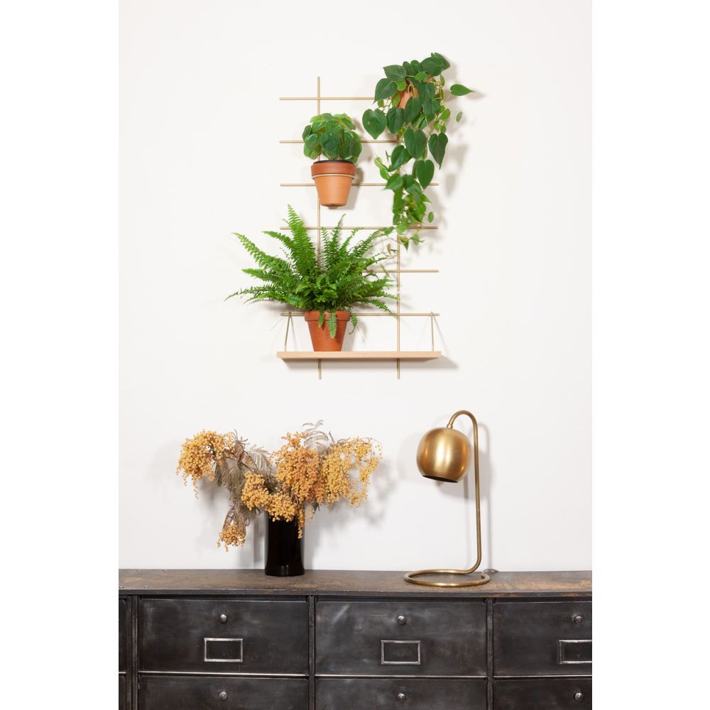 Shelves - Wall composition Zélie - GASSIEN