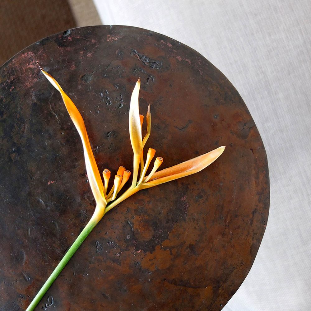 Autres tables - Mangrove Martini Table - MAJA