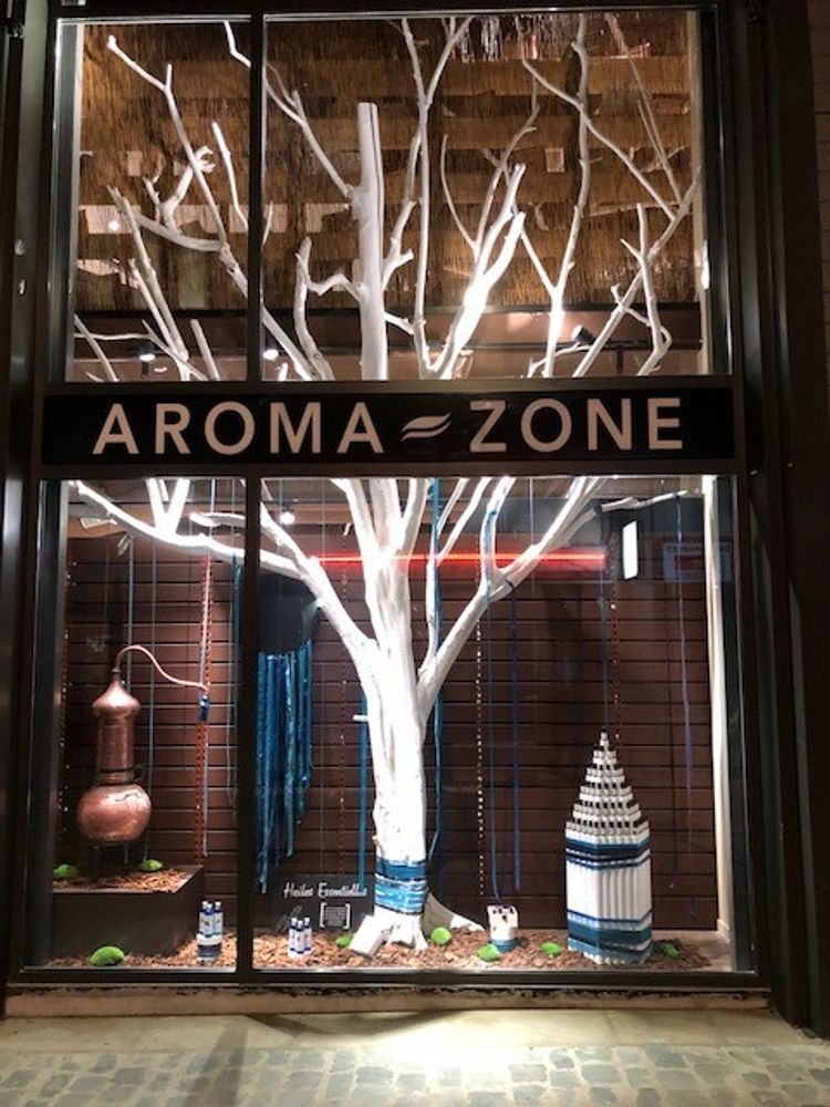 Objets de décoration - arbre en bois flotte - DECO-NATURE