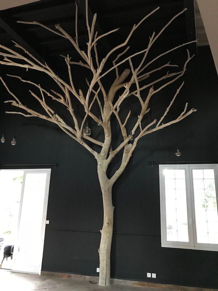 Objets de décoration - arbre en bois flotte - DECO-NATURE
