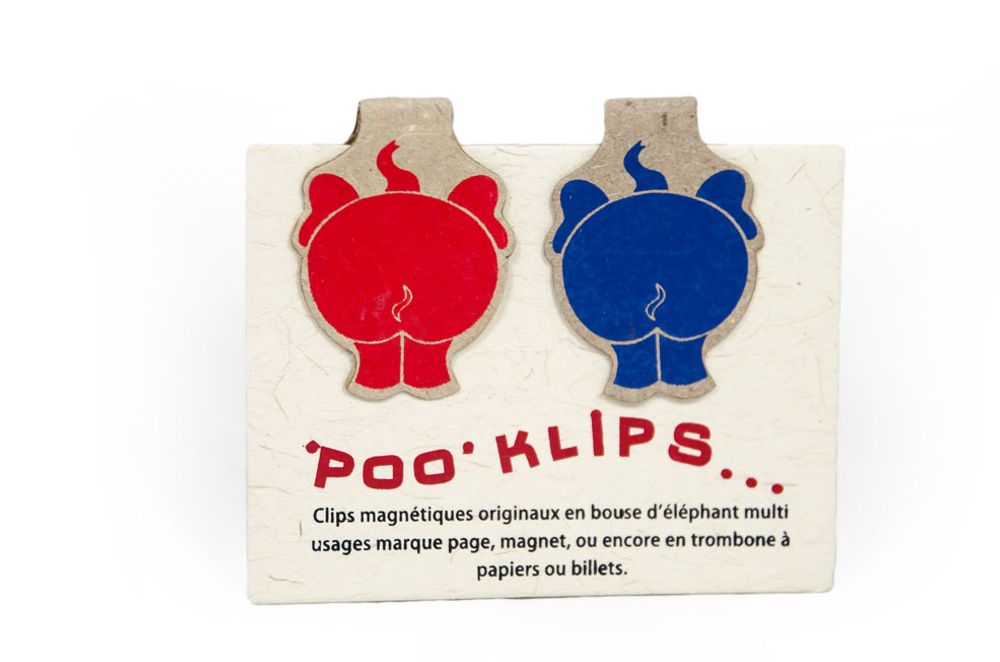 Children's arts and crafts - Range of stationery in elephant poo paper - RUE RANGOLI