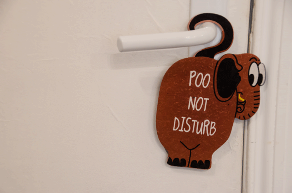 Children's arts and crafts - Range of stationery in elephant poo paper - RUE RANGOLI