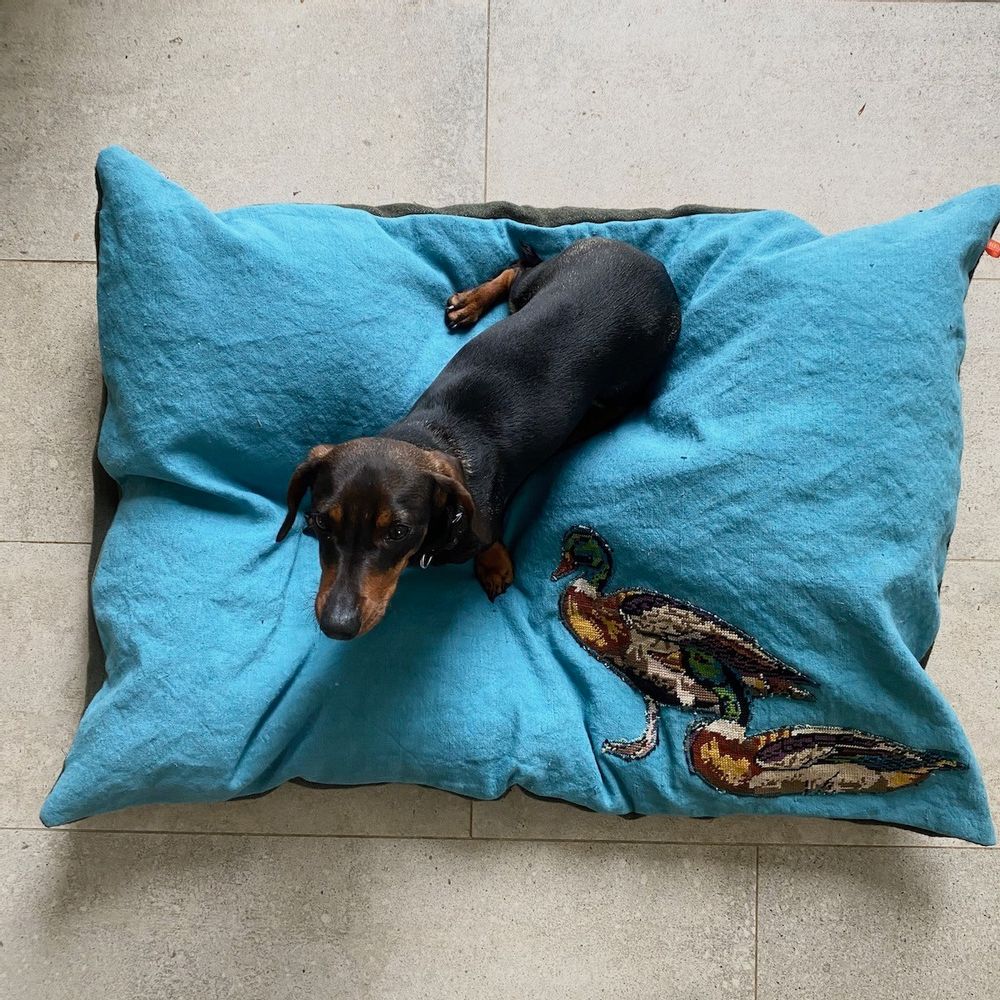 Coussins textile - Coussin Médor pour chien "les cols-verts" - 70x100cm - L'ATELIER DES CREATEURS