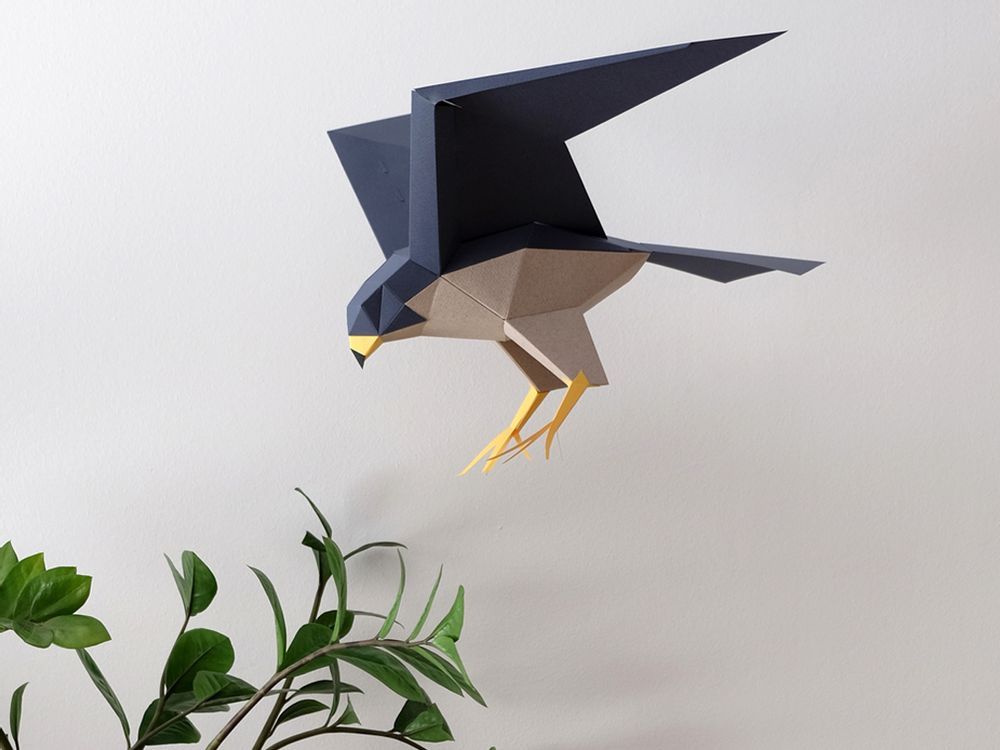 Objets de décoration - Falco Peregrinus - PLEGO