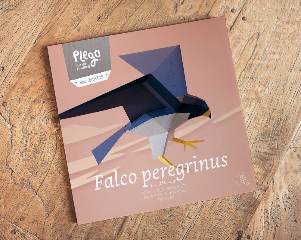 Objets de décoration - Falco Peregrinus - PLEGO