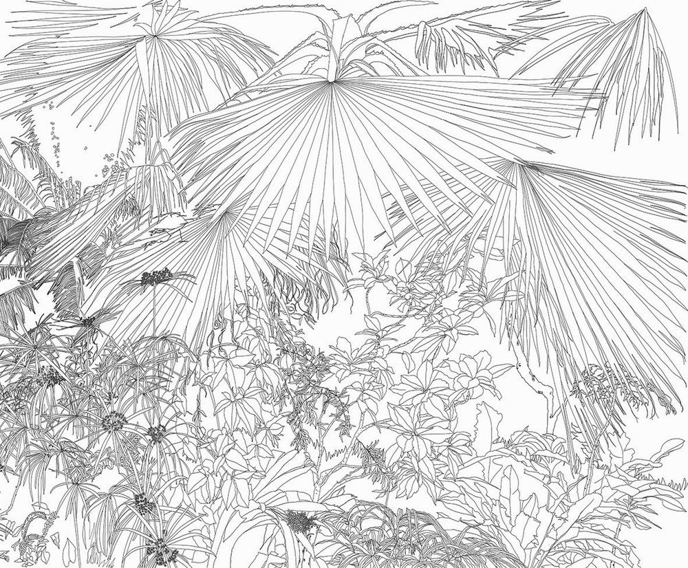 Papiers peints - Papier Peint Jungle Noir et Blanc - INCREATION