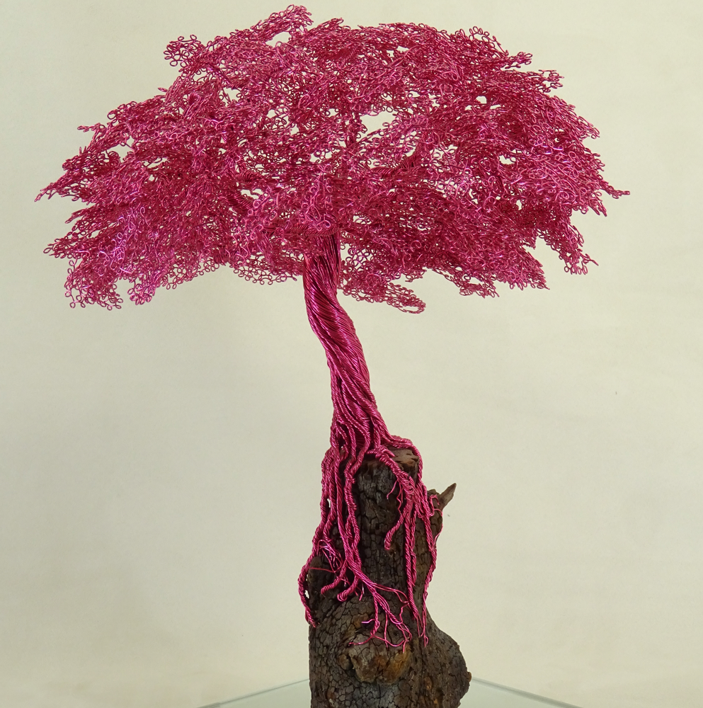 Objets design - ZEN BONSAI - MOSCHE BIANCHE
