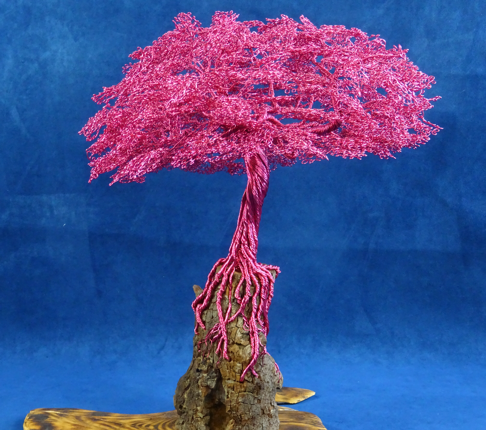Objets design - ZEN BONSAI - MOSCHE BIANCHE