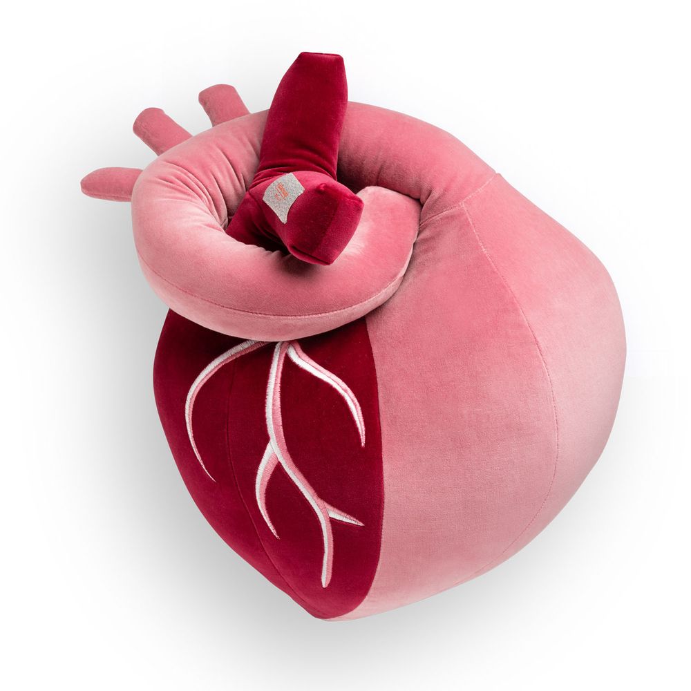 Coussins textile - Traversin Coeur - AUFSCHNITT