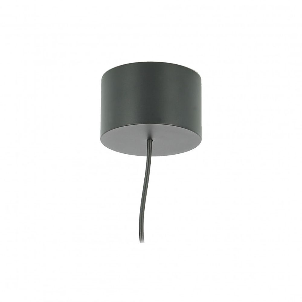 Suspensions - SLIM JIM - NEXEL