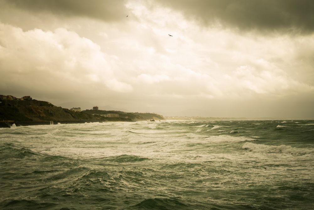 Art photos - OTOPH color series art photography - GALERIE BELARTVITA