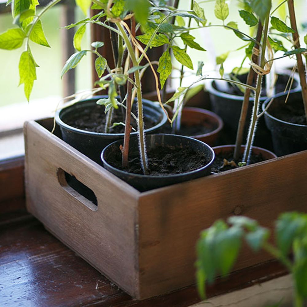 Objets de décoration - meubles bistrot - FIORIRA UN GIARDINO SRL