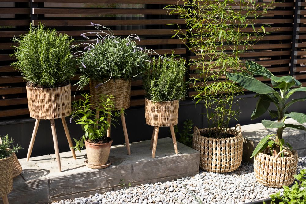Flower pots - SET 2 CATTAIL GRASS PLANTERS Ø30X58 AX21542 - ANDREA HOUSE