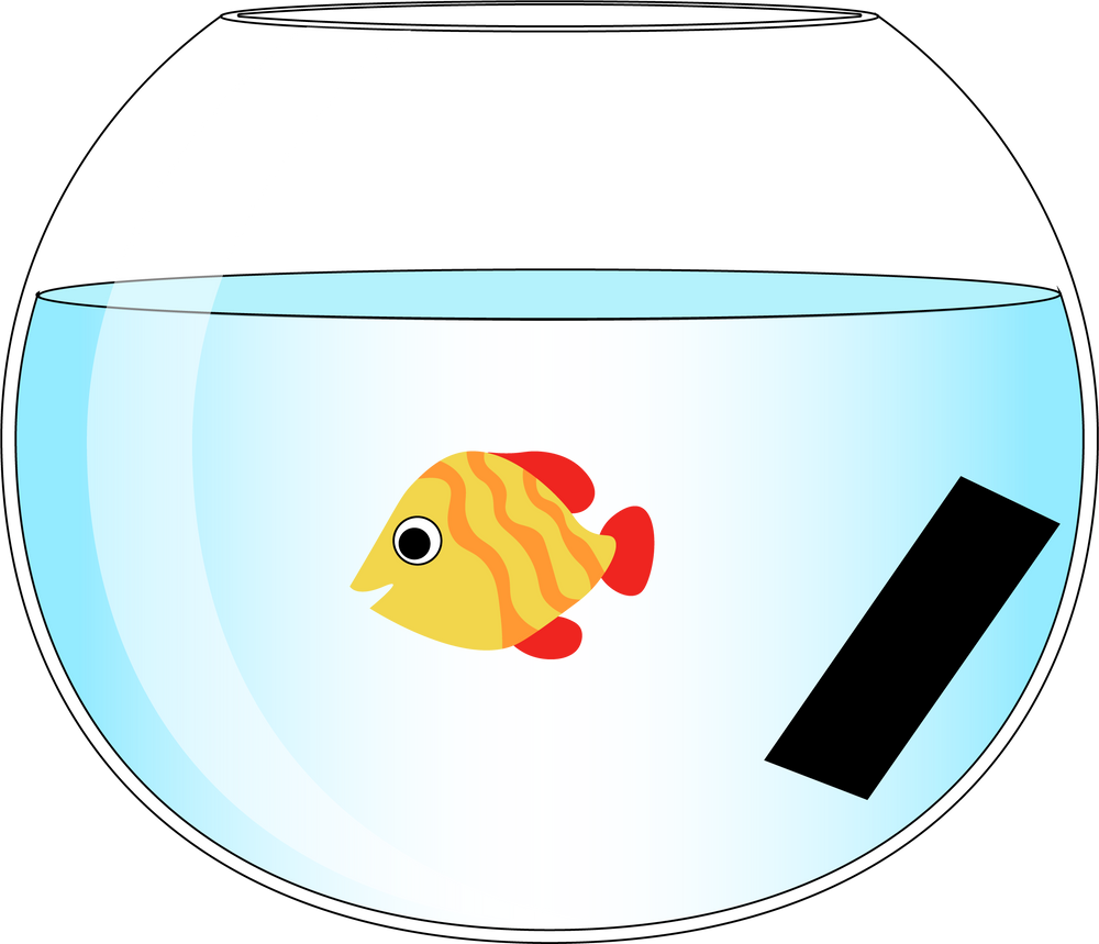 Carafes - LE CHARBON ACTIF FRANCAIS vrac 1kg - LE CHARBON ACTIF FRANÇAIS