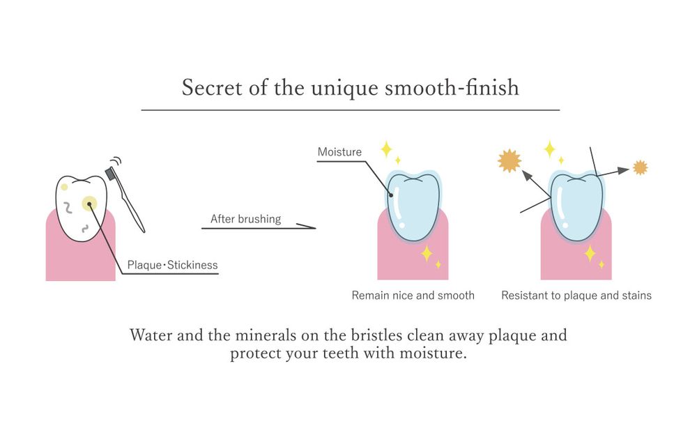 Chambres d'hôtels - Brosse à dents « MISOKA » - MISOKA