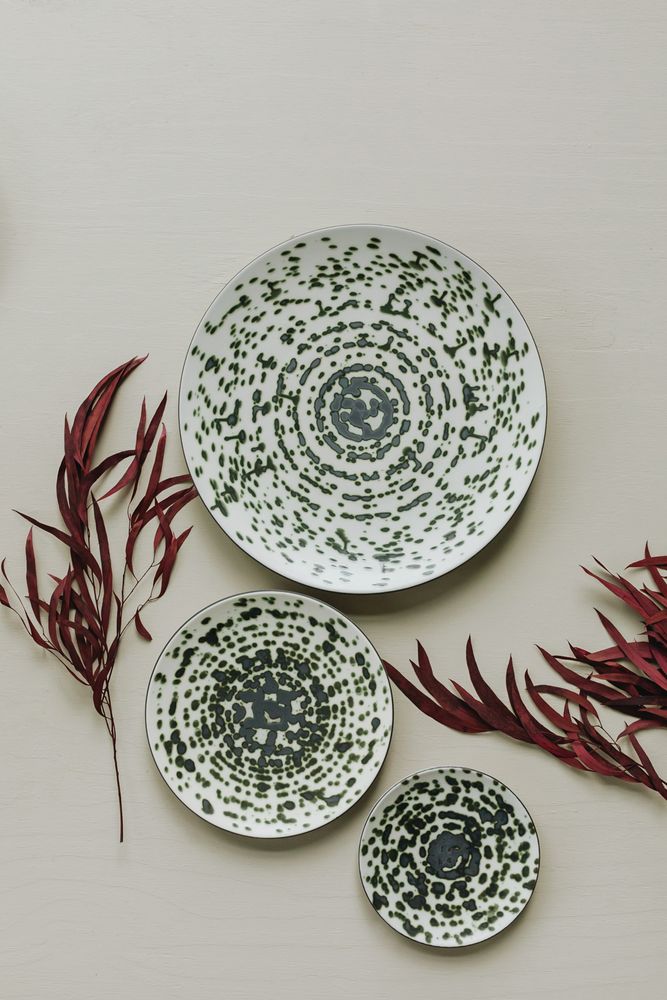 Everyday plates - Rainforest green metallic dessert plate on black ceramic - REVOL
