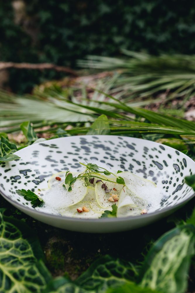 Assiettes au quotidien - Assiette coupe Rainforest verte métallisée en céramique noire - REVOL