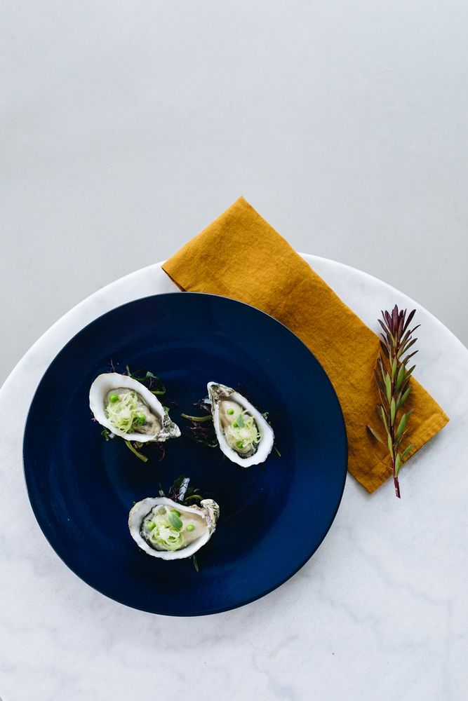 Assiettes de réception - Assiette de présentation Bleu Nuit en céramique noire - REVOL