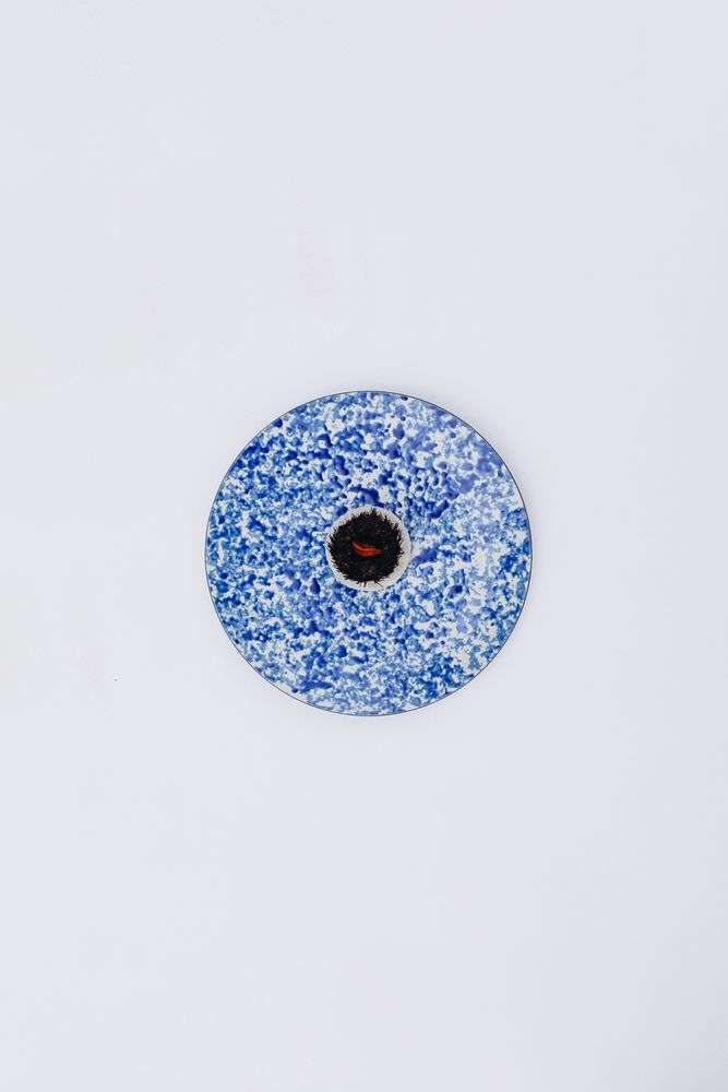 Assiettes au quotidien - Assiette dessert ronde Bleu Ocean Vibes sur céramique noire - REVOL