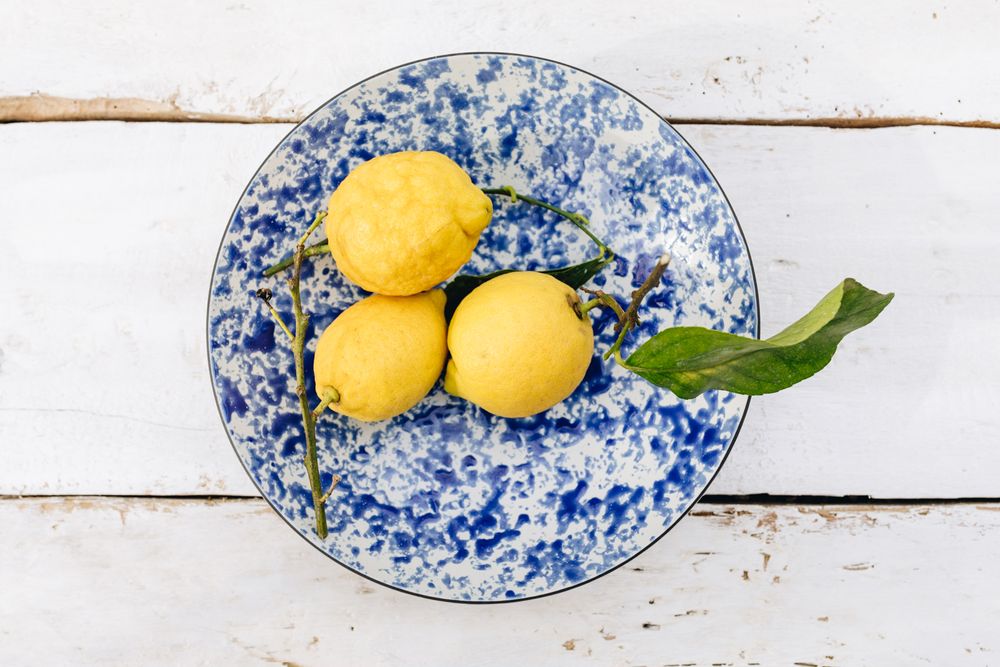 Plats et saladiers - Assiette coupe / saladier Bleu Ocean Vibes en céramique noire - REVOL