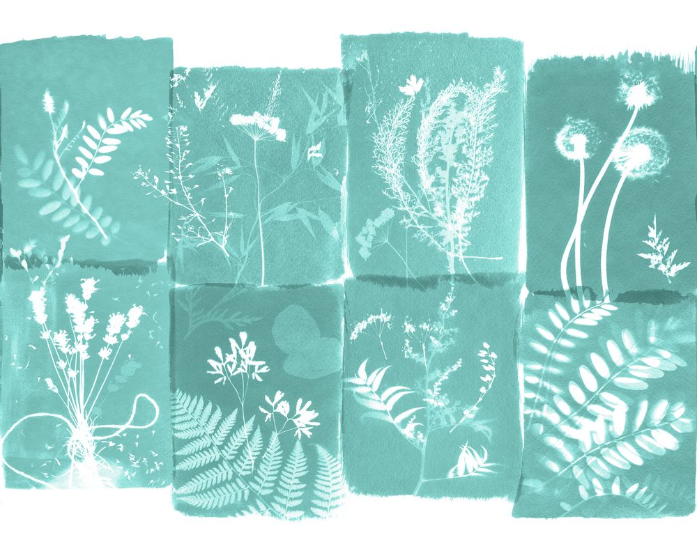 Other wall decoration - Wallpanel Cyanotype Fleurs Des Champs Menthe à l'Eau - PAPERMINT