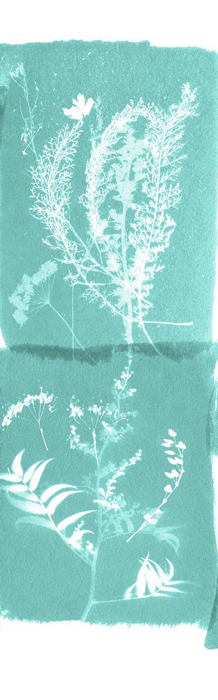 Other wall decoration - Wallpanel Cyanotype Fleurs Des Champs Menthe à l'Eau - PAPERMINT