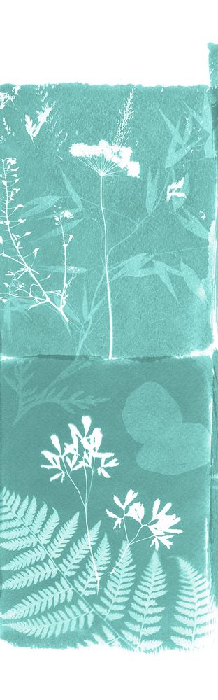 Other wall decoration - Wallpanel Cyanotype Fleurs Des Champs Menthe à l'Eau - PAPERMINT