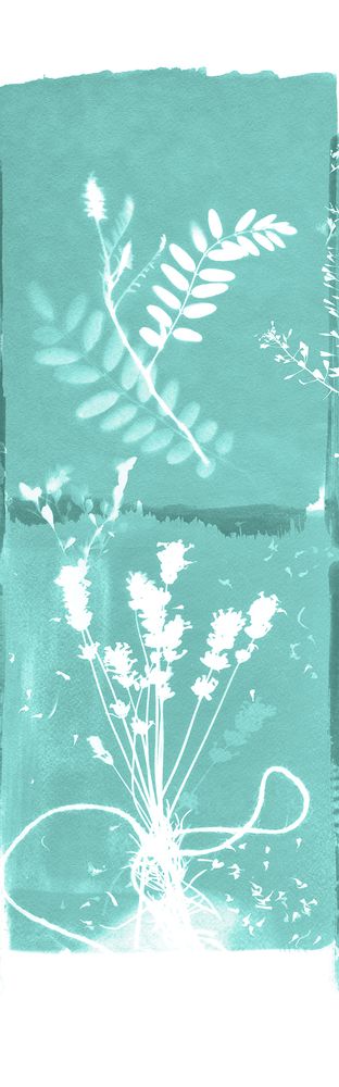 Other wall decoration - Wallpanel Cyanotype Fleurs Des Champs Menthe à l'Eau - PAPERMINT