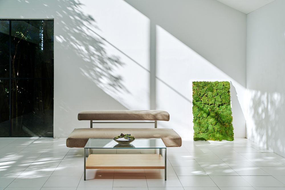 Objets de décoration - Feuille FUJIGOKE - grand - FUJIGOKE