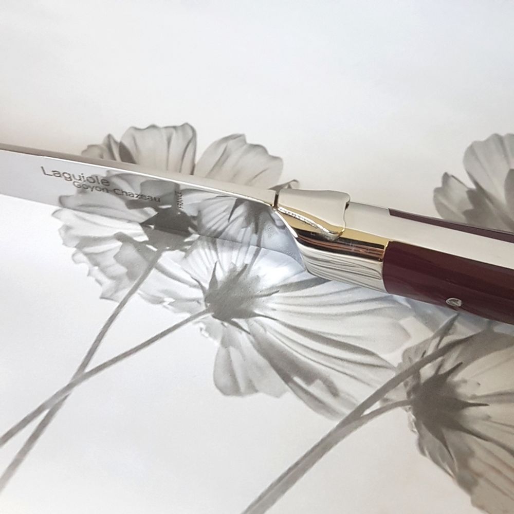 Knives - knife Laguiole Goyon Chazeau - GOYON - CHAZEAU COUTELLERIE