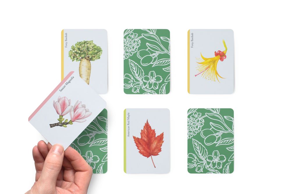 Gifts - Tree Families: A Botanical Card Game - LAURENCE KING PUBLISHING LTD.