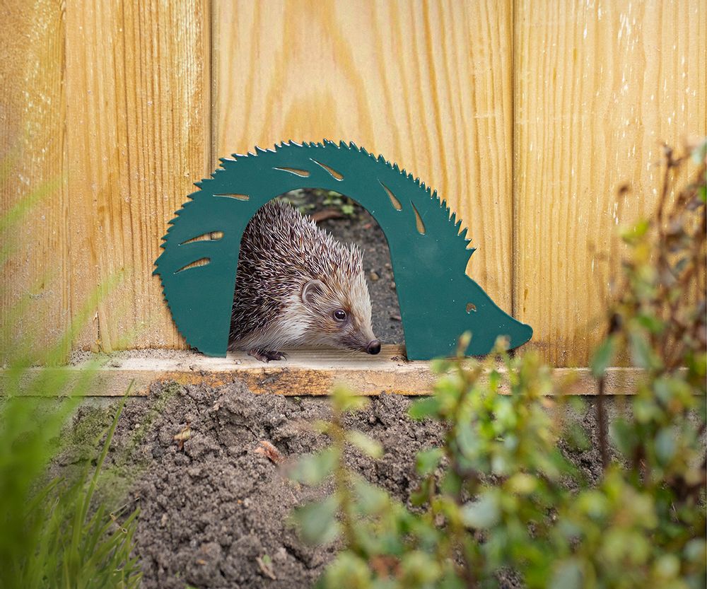 Garden accessories - Best for Birds, Wild on Wildlife: everything for a friendly garden for birds & wildlife - ESSCHERT DESIGN