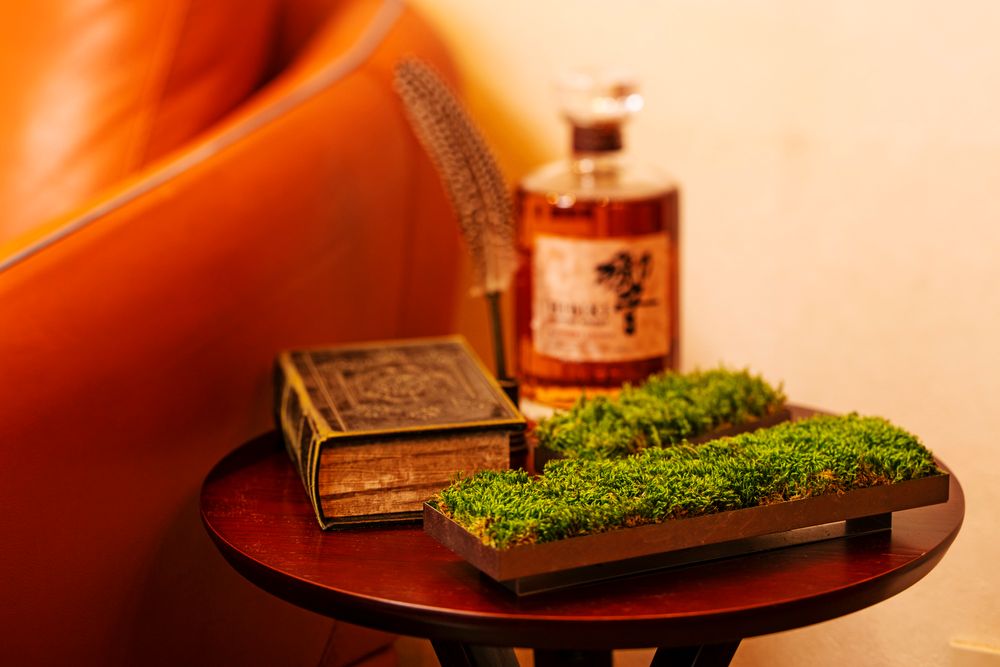 Objets design - Mousse linéaire (L) (L-1) - FUJIGOKE