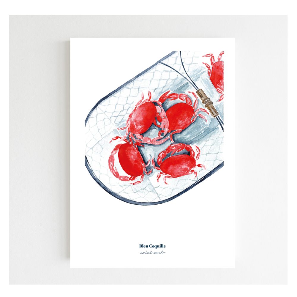 Poster - Poster A4 - Basket of Crabs - BLEU COQUILLE