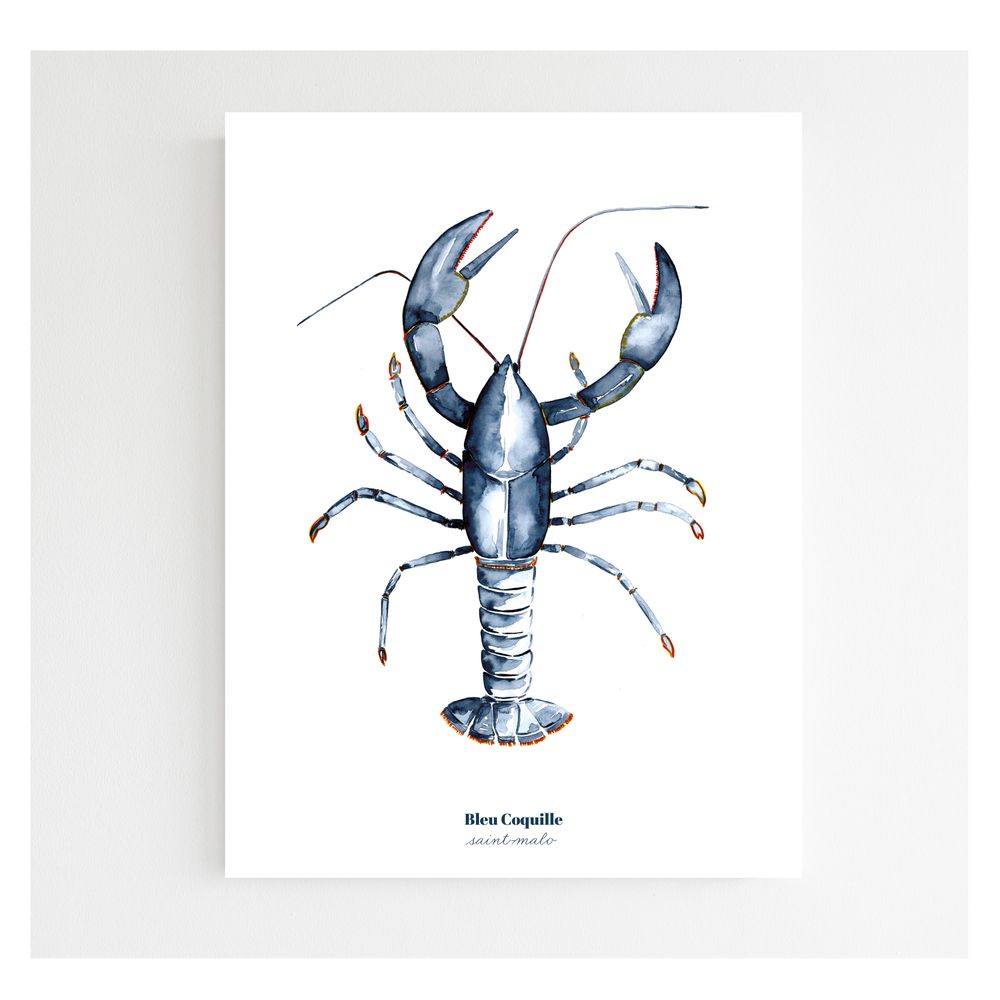 Affiches - Affiche 30x40 - Homard Bleu - BLEU COQUILLE