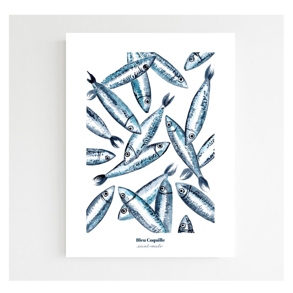 Poster - Poster 30x40 - Les Sardines - BLEU COQUILLE