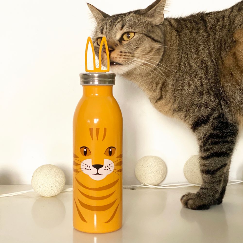 Cadeaux - Bouteille pour chat avec poignées d'oreilles - DESIGNER SOUVENIRS