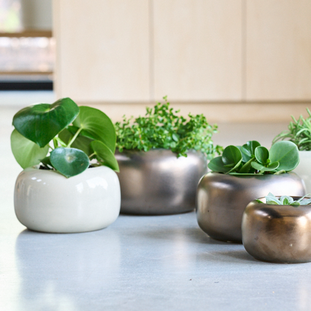 Ceramic - JAR indoor ceramic pot - D&M DECO