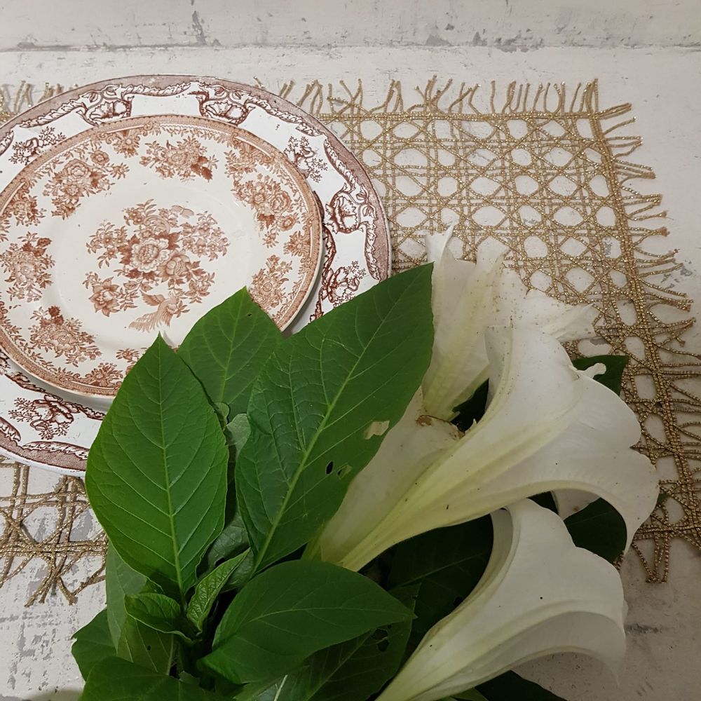 Decorative objects - Table mate 1 - PE DE CHUMBO