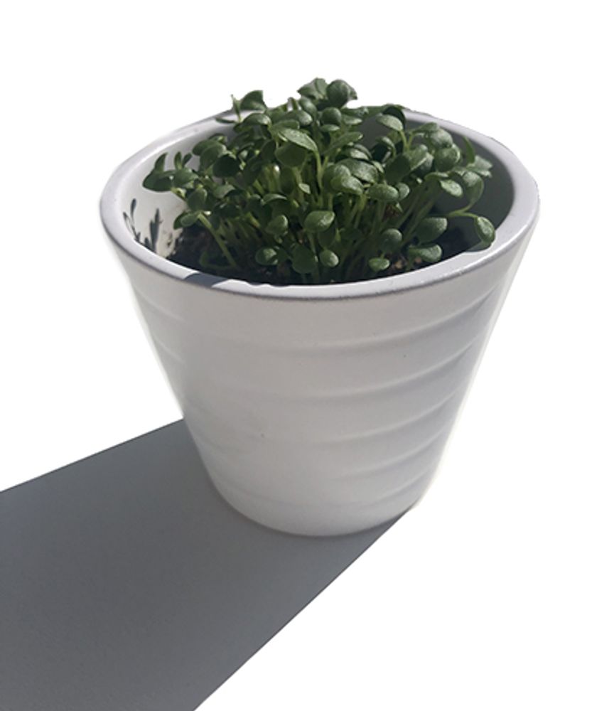 Stationery - Revolving counter display pack 207 eco-responsible pieces made in France - LULU CREATION®