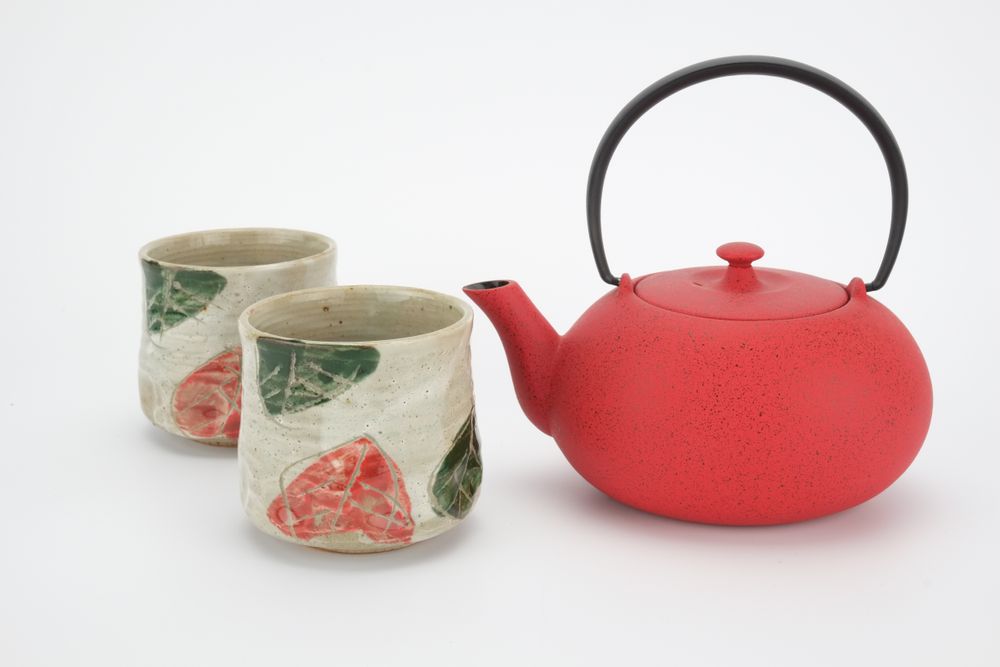 Mugs - JAPANESE CAST IRON TEAPOT WAZUQU - JAPAN DESIGN BVBA