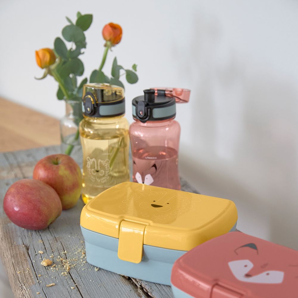 Repas pour enfant - LÄSSIG Set Boîte Goûter et Bouteille Enfant - LASSIG GMBH