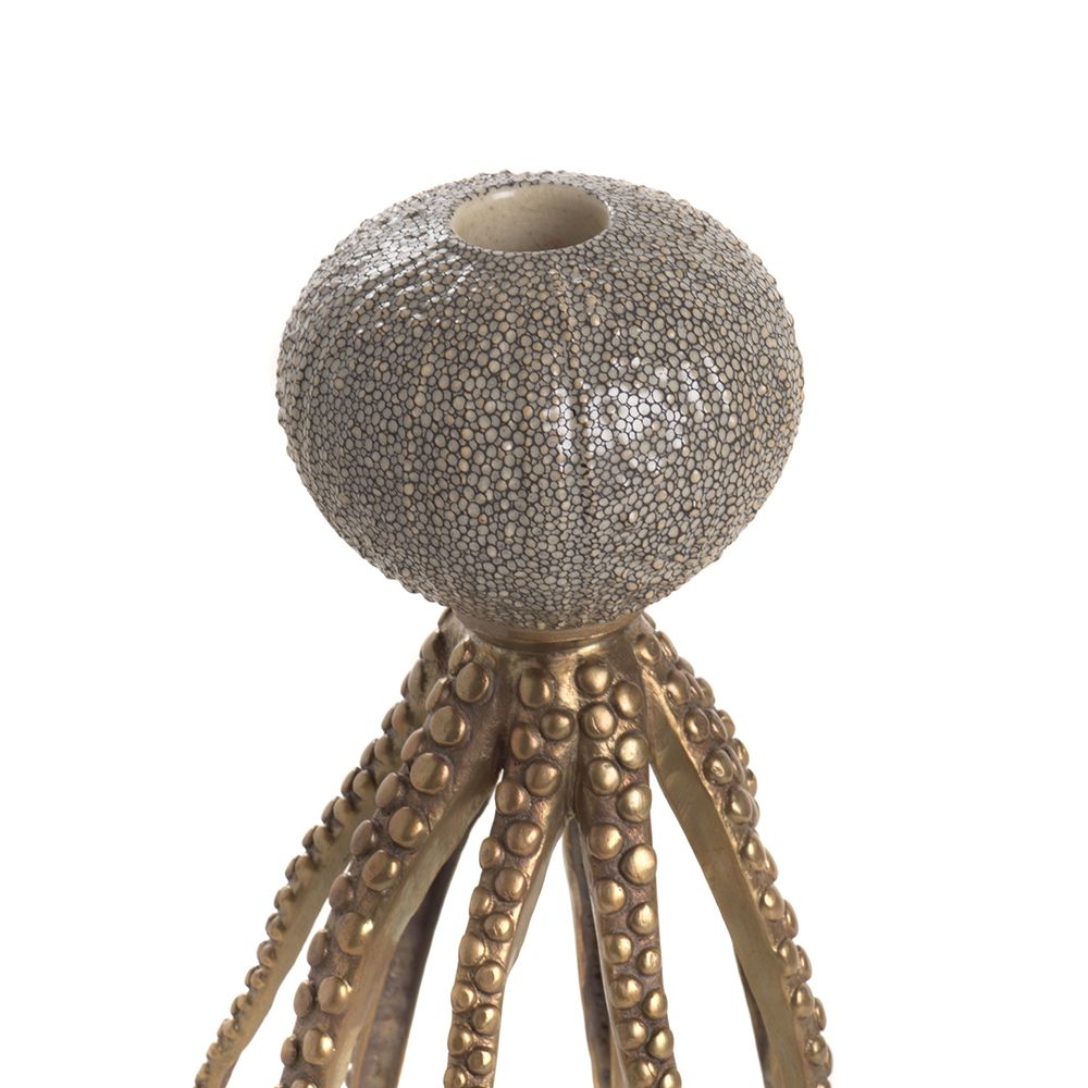 Decorative objects - Octopus Candleholders - ASIATIDES
