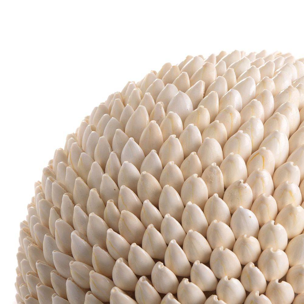 Objets de décoration - Boules Coquilles - ASIATIDES