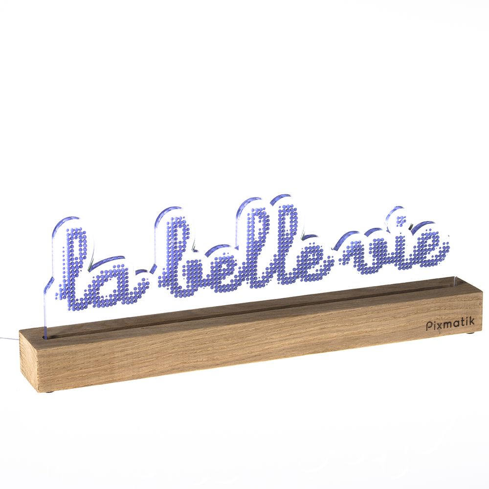 Design objects - DESIGN LAMP “THE BEAUTIFUL LIFE” - PIXMATIK