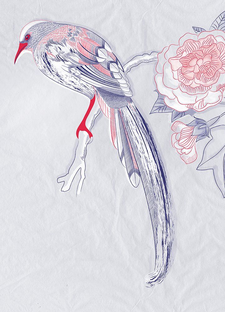 Papiers peints - Papier peint d'un oiseau et d'une rose - INCREATION