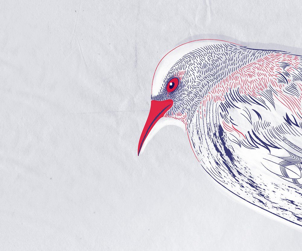 Papiers peints - Papier peint d'un oiseau et d'une rose - INCREATION