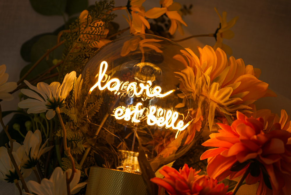 Ampoules pour éclairage intérieur - Le message dans l'ampoule - ELEMENTS LIGHTING