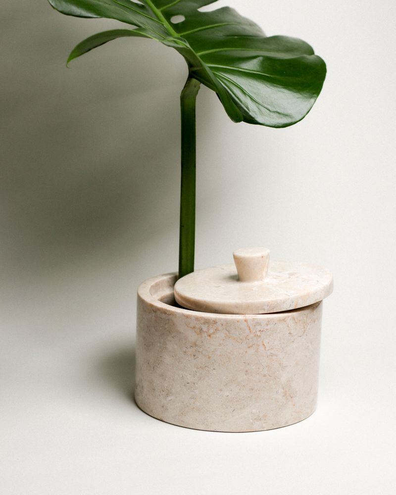 Decorative objects - Agatha Jar - STILLGOODS